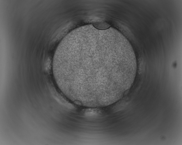 X0000116580077200912312023
