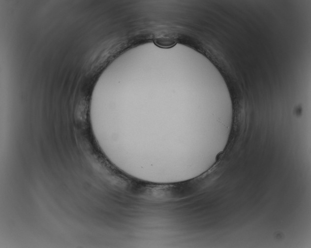 X0000116580078200912312023