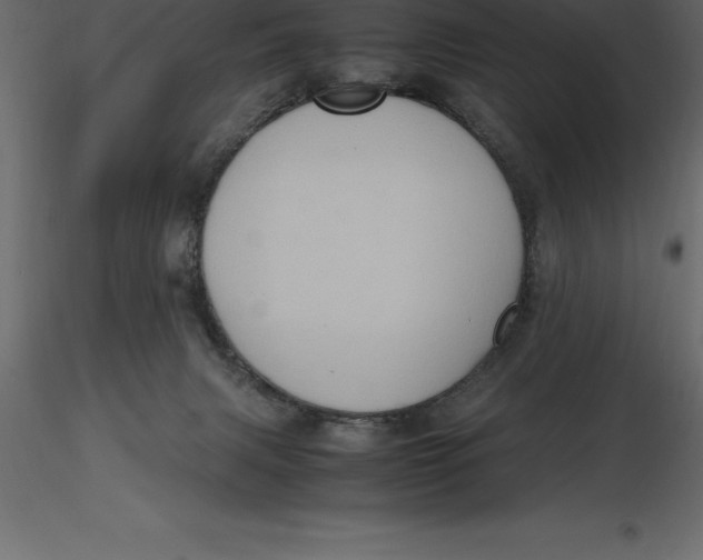 X0000116580079200912312023