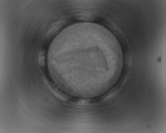 X0000116580080200912312023
