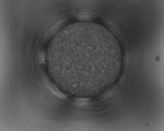 X0000116580081200912312023