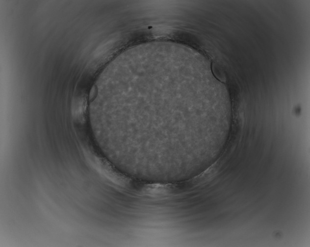 X0000116580082200912312023