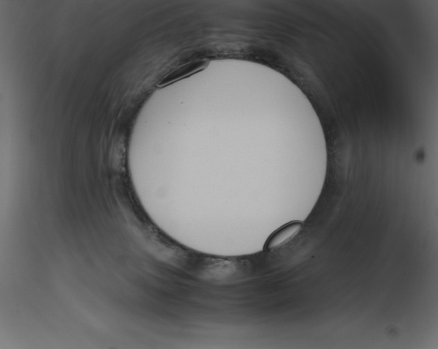 X0000116580083200912312023