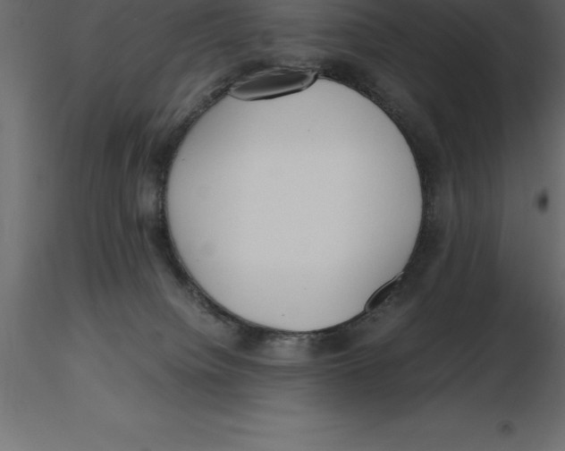 X0000116580084200912312023
