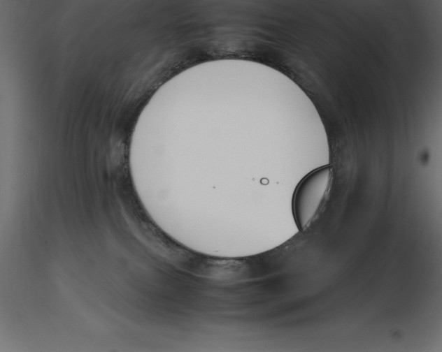 X0000116580087200912312023