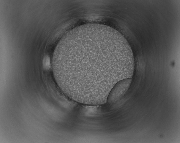 X0000116580089200912312023