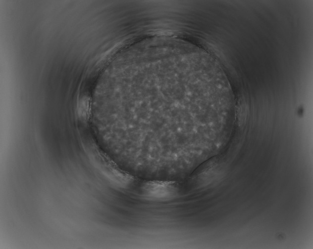 X0000116580093200912312024