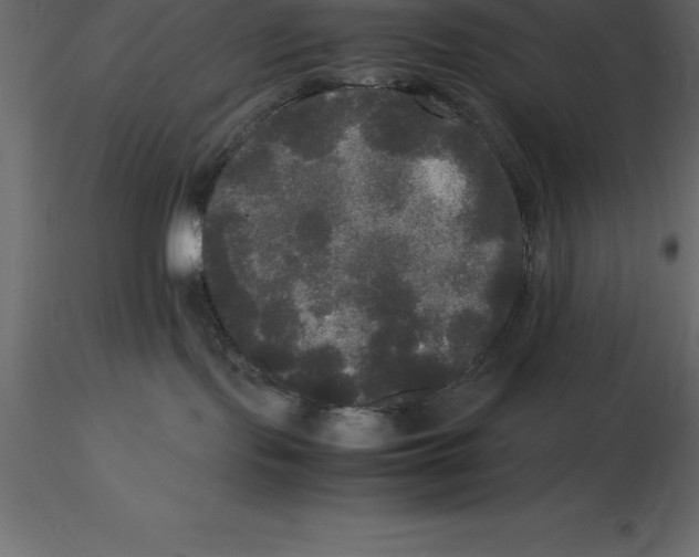 X0000116580095200912312024