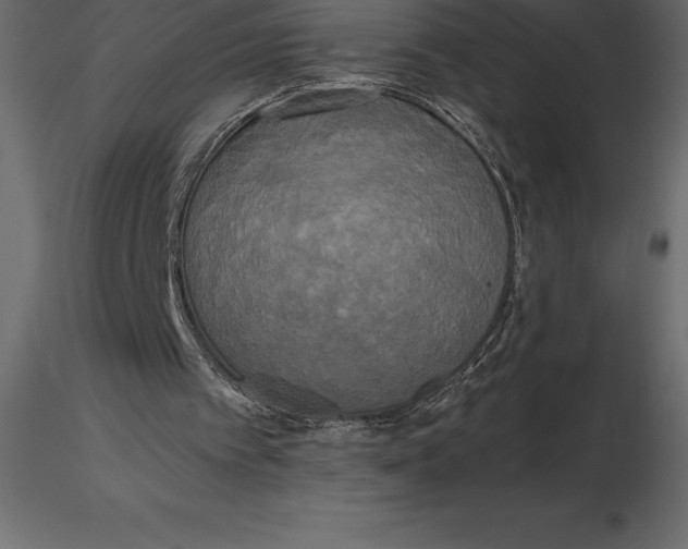 X0000116580097200912312023