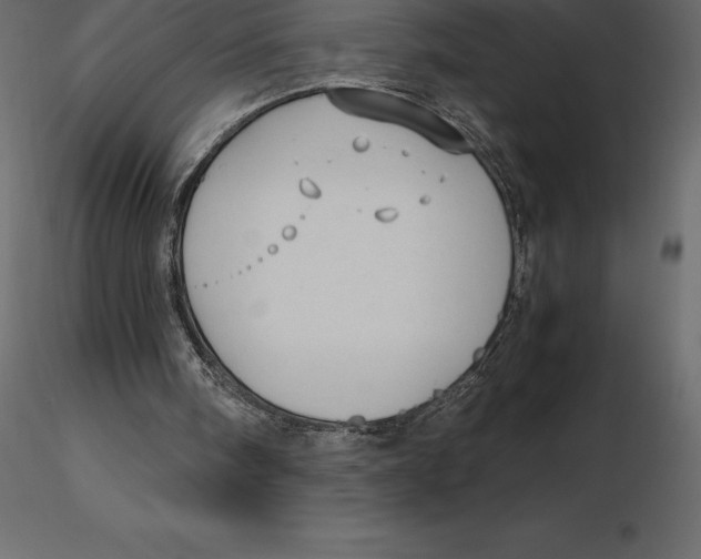 X0000116580098200912312023