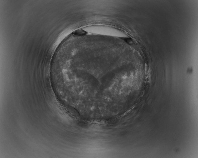 X0000116580099200912312023