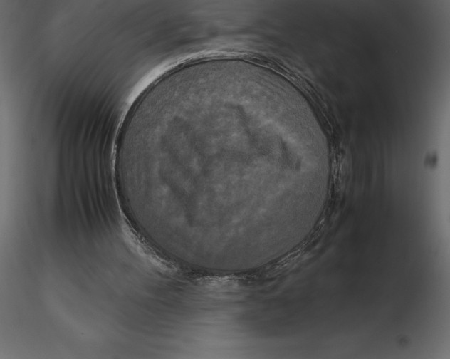 X0000116580100200912312023