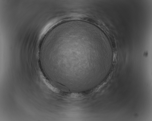 X0000116580101200912312023