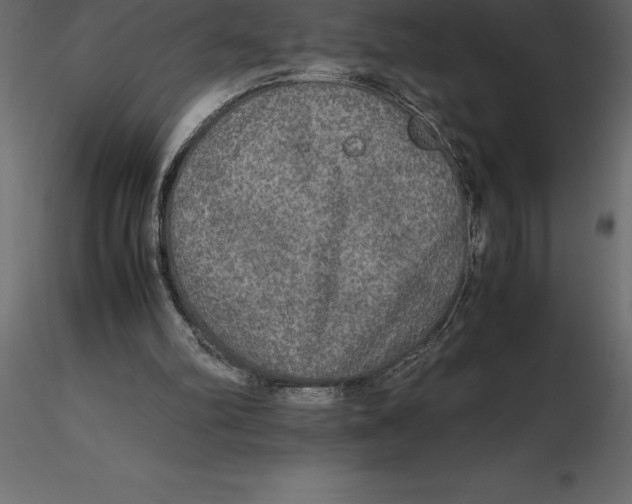X0000116580102200912312023