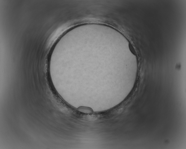 X0000116580103200912312023