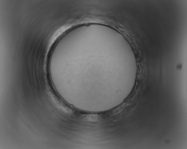 X0000116580104200912312023