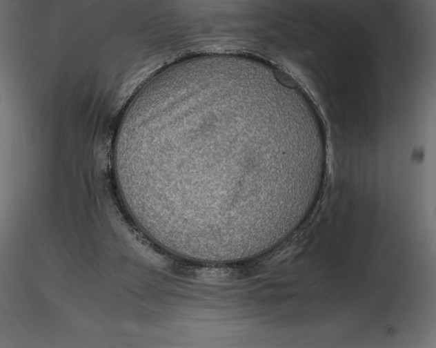 X0000116580105200912312023