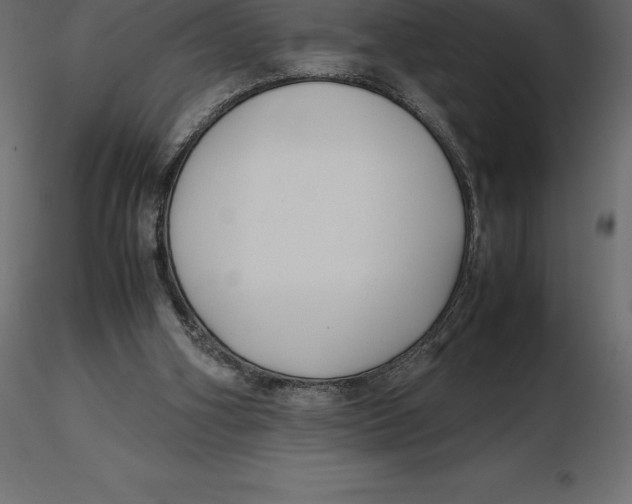 X0000116580106200912312023