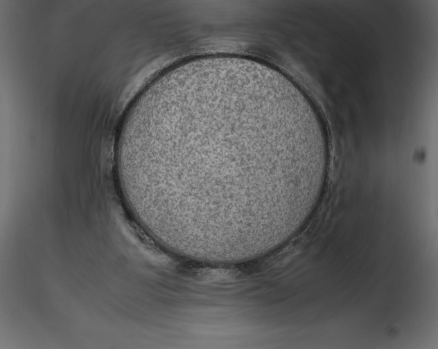 X0000116580107200912312023