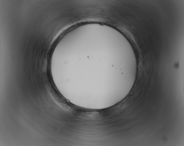 X0000116580108200912312023
