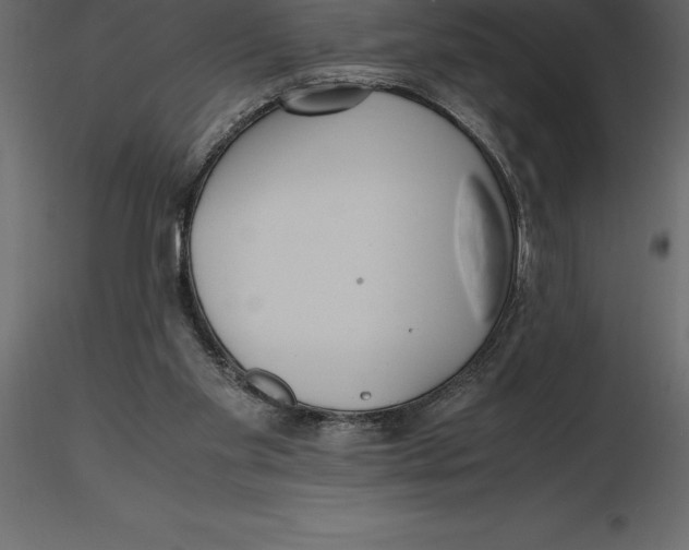 X0000116580109200912312023