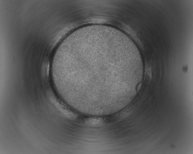 X0000116580110200912312023
