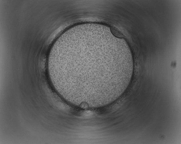 X0000116580111200912312023