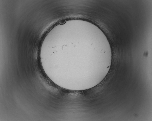 X0000116580112200912312023