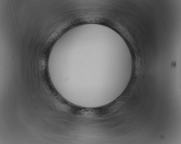 X0000116580113200912312023