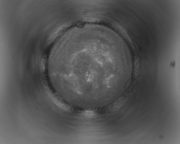X0000116580114200912312023