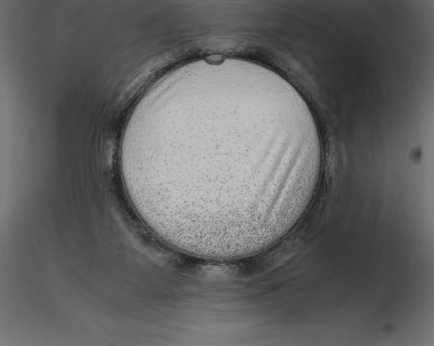 X0000116580115200912312023