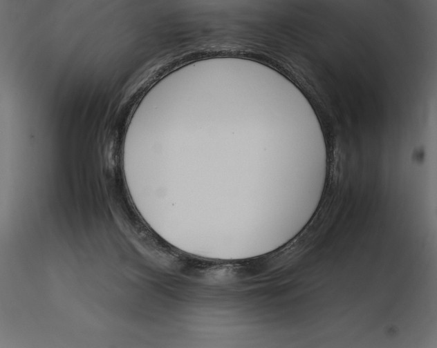 X0000116580116200912312023
