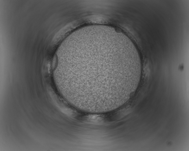 X0000116580117200912312023