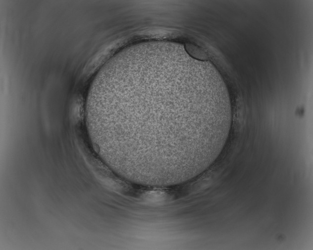X0000116580119200912312023