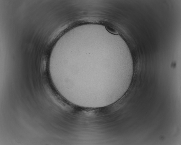 X0000116580120200912312023