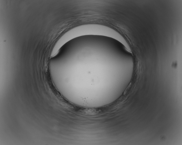 X0000116580121200912312023