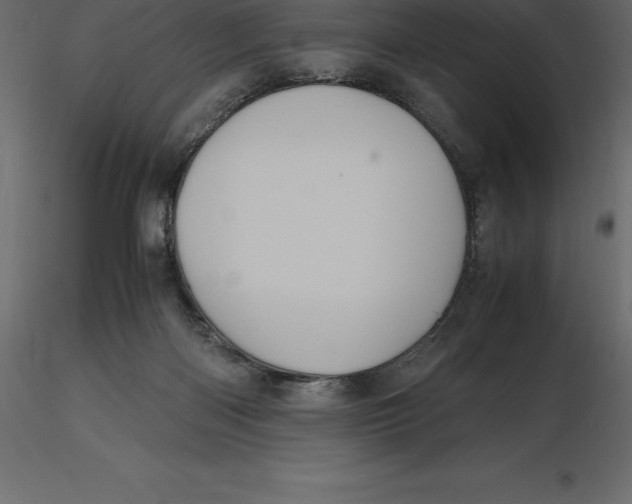X0000116580122200912312023