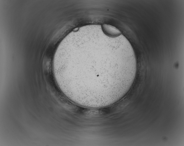 X0000116580123200912312023