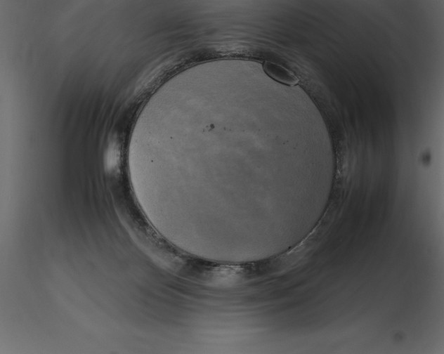 X0000116580124200912312023