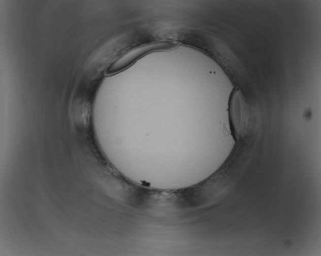 X0000116580125200912312023