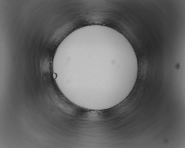 X0000116580126200912312022