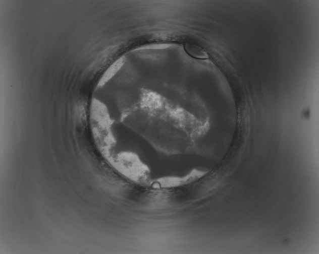 X0000116580127200912312022