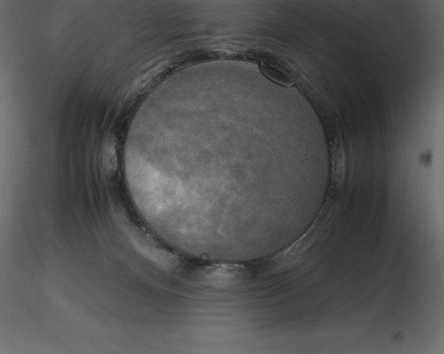 X0000116580128200912312022