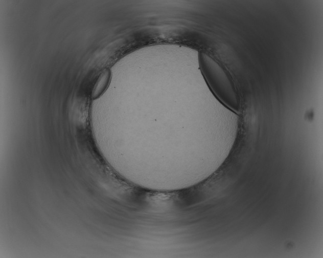 X0000116580129200912312022