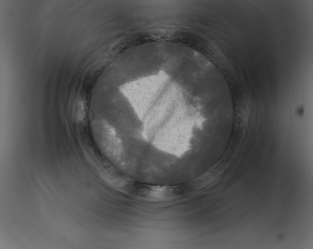 X0000116580130200912312022