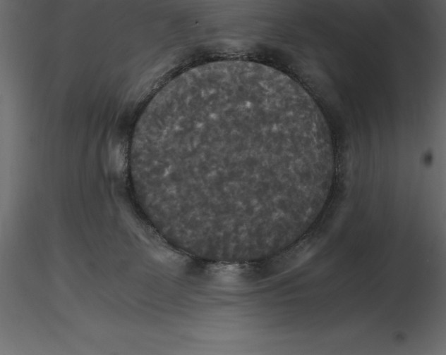 X0000116580131200912312022
