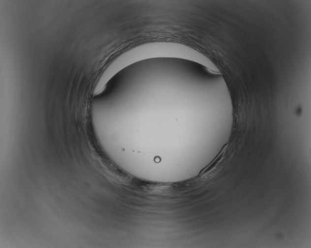 X0000116580132200912312022