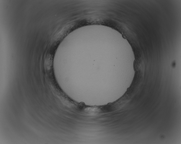 X0000116580133200912312022