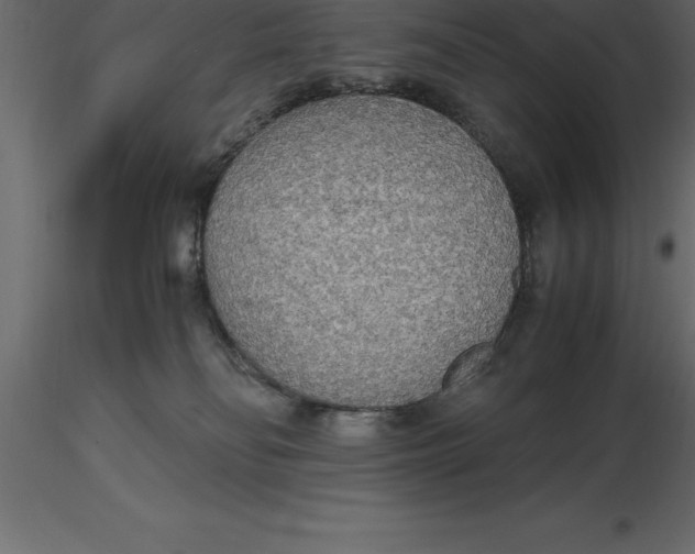 X0000116580134200912312022