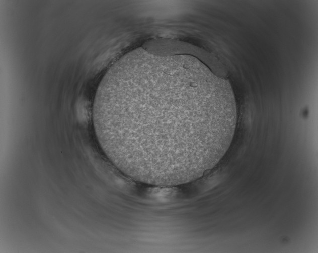 X0000116580135200912312022